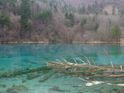 anytime～世界一周～【１カ国目／中国】