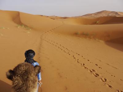 ☆モロッコ旅行記　2010　～砂漠ツアー編～☆