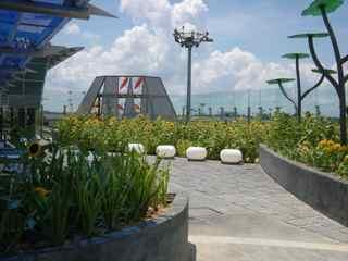 シンガポール空港での過ごし方