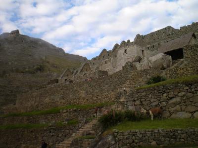 行ってきましたよ、マチュピチュ