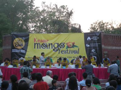 再びデリー etc 後半