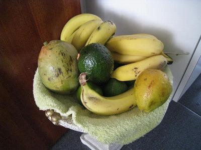 ブラジルの旅(2)