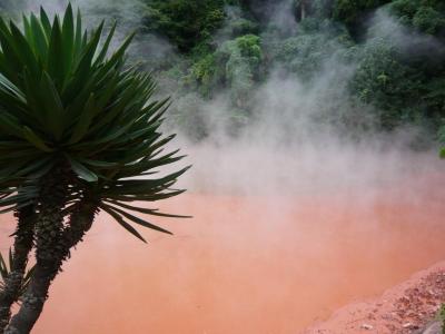 今回の九州旅行は福岡⇒大分・別府