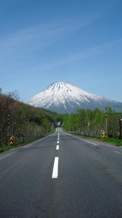 京極へ水を汲みにレッツゴーぜよっ(｡･ω･)ﾉﾞ  