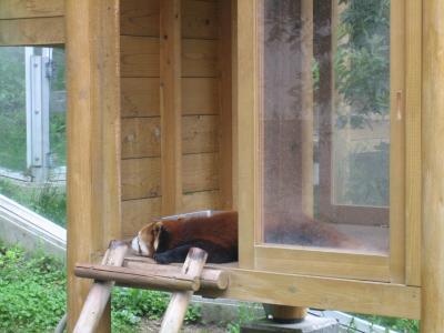 平日のとべ動物園(2)