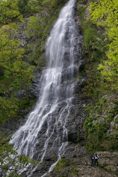 日本の滝100選　新緑の天滝へ～