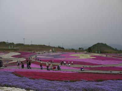 茶臼山「天空の花回廊」芝桜の丘へ