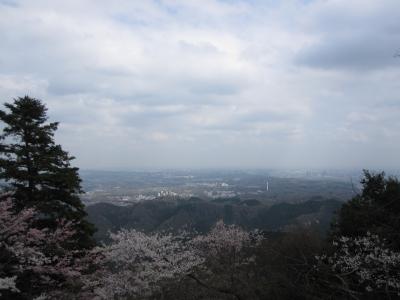 2010 春の高尾山　アラサーぷち旅行