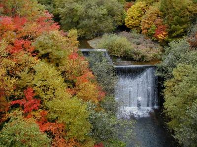 紅葉を見る八ヶ岳ドライブ