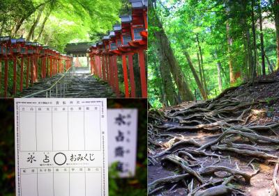 京都を歩く(59) 水と緑に癒されて～初夏の貴船・鞍馬めぐり～