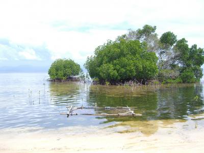 ♪初の年末年始・海外脱出バリ旅行♪