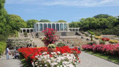 ★ 王侯貴族のバラ園 須磨離宮公園 ★