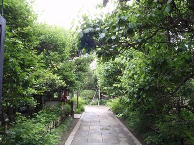 鎌倉 2010/05/29② 宝戒寺