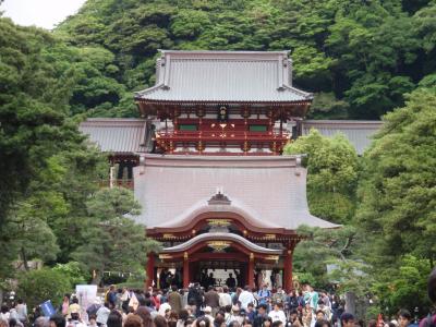 鎌倉　2010/05/29⑥　鶴岡八幡宮