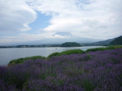 富士五湖めぐり①