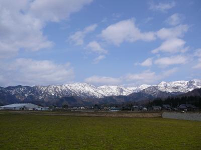 福井県立恐竜博物館