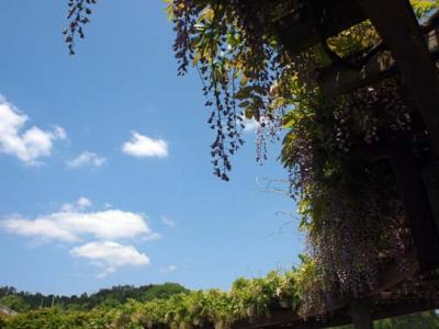 手漉き和紙職人訪問（１）京都府綾部黒谷　黒谷和紙            Kurotani, Kyoto