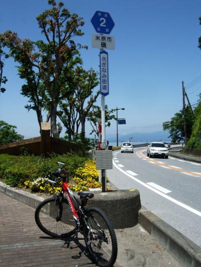 MTBでウロウロ…　彦根から米原へ