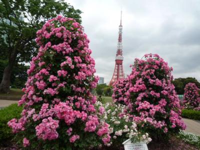 東京学会出張2010年(1)東京タワー・汐留