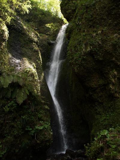 滝コミュオフ会 in 新温泉町⑤　滝メグラーが行く８６　秘境・桂の滝