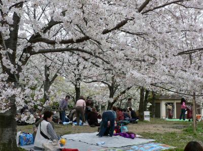 日本の旅　関西を歩く　大阪、毛馬桜之宮公園周辺