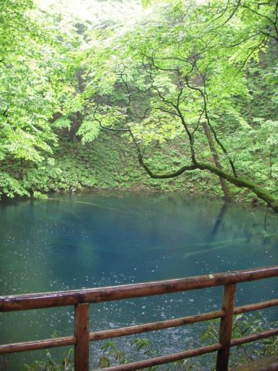 ☆　青森横断！美味と絶景の旅　　十二湖～青森編　　☆