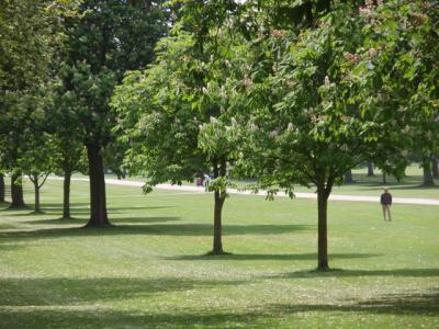 豪華なロングウオークの昼食
