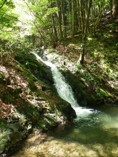 出発～養父市の『不動滝』◆2010年5月・兵庫県北部の滝めぐり【その１】