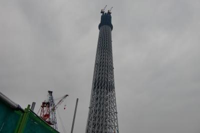 今しかみられないつくりかけと言えば。