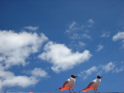 2009年6月【フィンランド・ヘルシンキ】