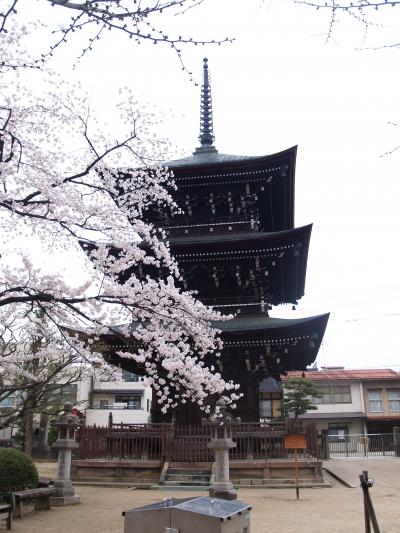 飛騨高山－桜の頃