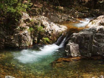 【石見路005】匹見峡まつりにて、石見神楽との出会い&ヤマメとの戦い