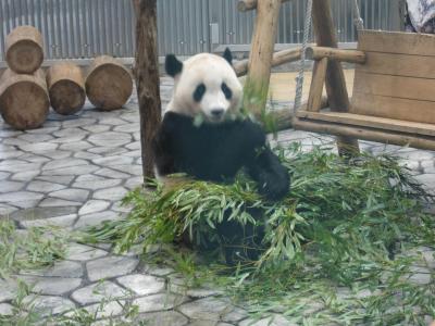 紀伊半島1周旅行!! 南紀白浜編