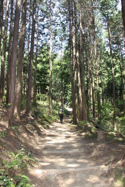 ■本宮山トレッキング