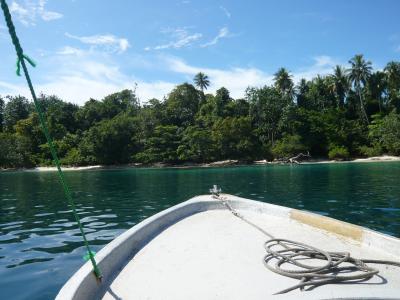 2010年4月　パプアニューギニア旅行　その２３：初ダイビング②