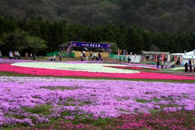 第３回　富士芝桜まつり