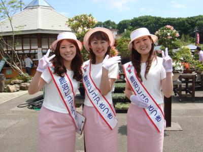 「鹿沼さつき祭り」 鹿沼市花木センター