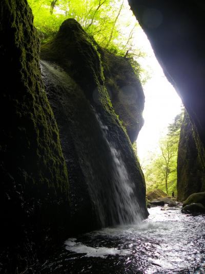 『シワガラの滝』は不思議な滝です◆2010年5月・兵庫県北部の滝めぐり【その７】