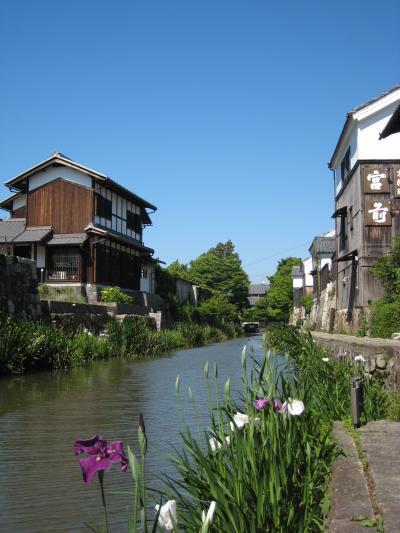 入梅前の晴天の下、花菖蒲が彩り添える商家町・近江八幡を歩いて～近江のむかし町をあるく～