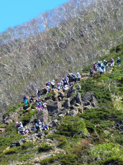 2010.6 やっぱり大人気！「アポイ岳」