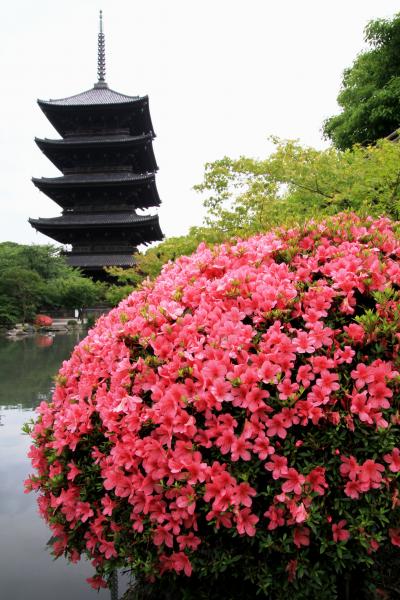 毎月第一日曜日は、骨董市（がらくた市）　「東寺」