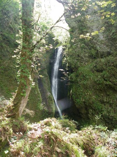 『桂の滝』 大自然が残る素晴らしい滝！◆2010年5月・兵庫県北部の滝めぐり【その８】