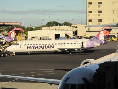 ハワイ家族旅行 Part 3   ハワイ島日帰りツアー
