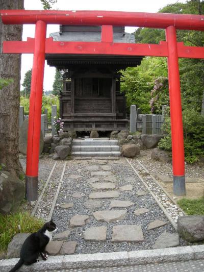 北山　輪王寺