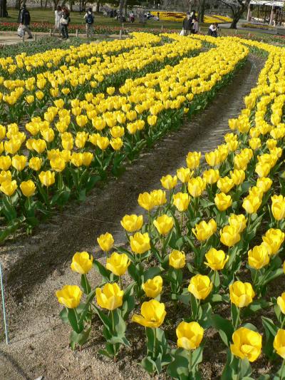 日本の旅　関西を歩く　大阪、万博記念公園のＥＸＰＯ‘７０パビリオン・日本庭園周辺