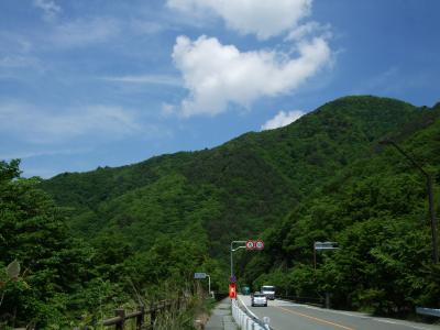 自転車でウロウロ…=富士山一周・３　その３=