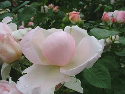 熱海で遊ぼう(2)