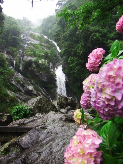 紫陽花を見に佐賀・見返りの滝へ