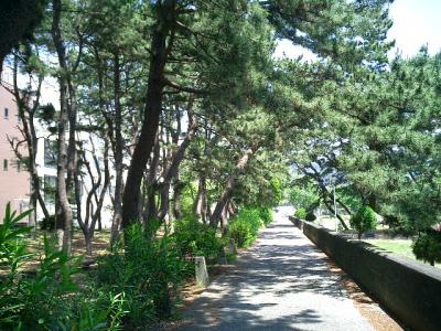 折りたたみ自転車でサイクリングpart2