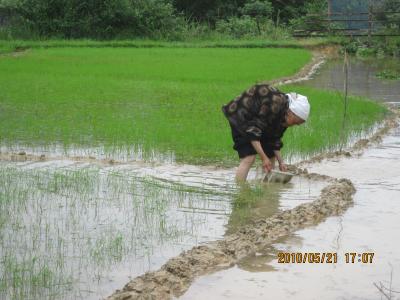 61 中国　広西省　程陽八寨　4